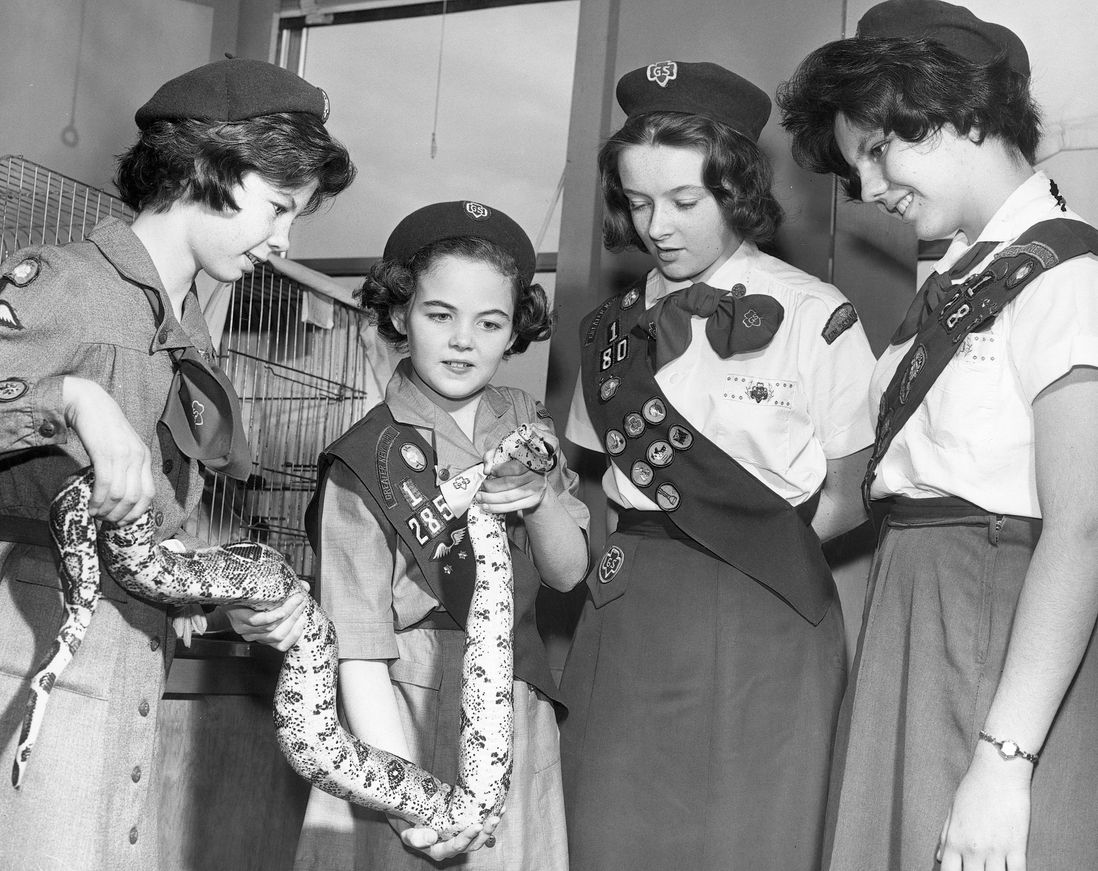 Girl Scouts with snake<br>